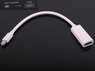 Mini Display Port (Thunderbolt) - HDMI Input
