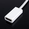 Mini DVI to HDMI Input