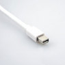 Thunderbolt (Mini Displayport) to DP/HDMI/DVI Adapter