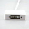 Thunderbolt (Mini Displayport) to DP/HDMI/DVI Adapter